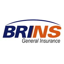 BRIN